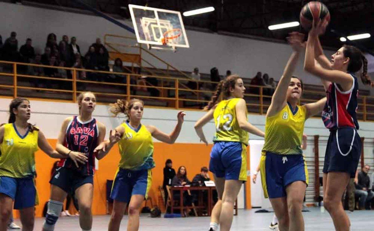 basquet-junior-2019