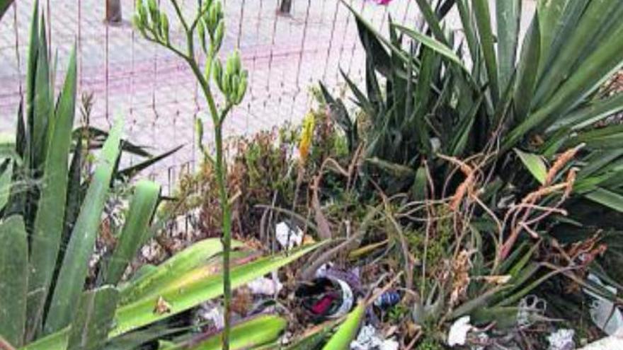 Vecinos de San Juan se quejan del abandono de un jardín