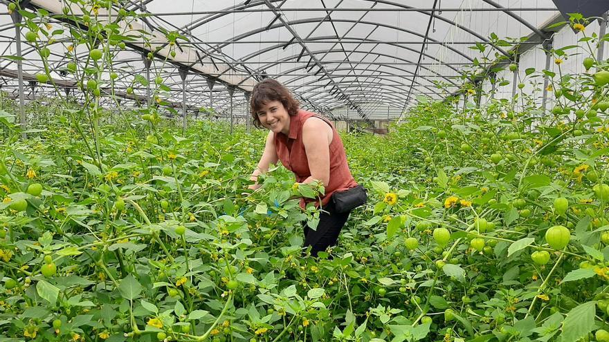 Así es Rural Ecolab, un paraíso de producción hortícola ecológica en Llanera