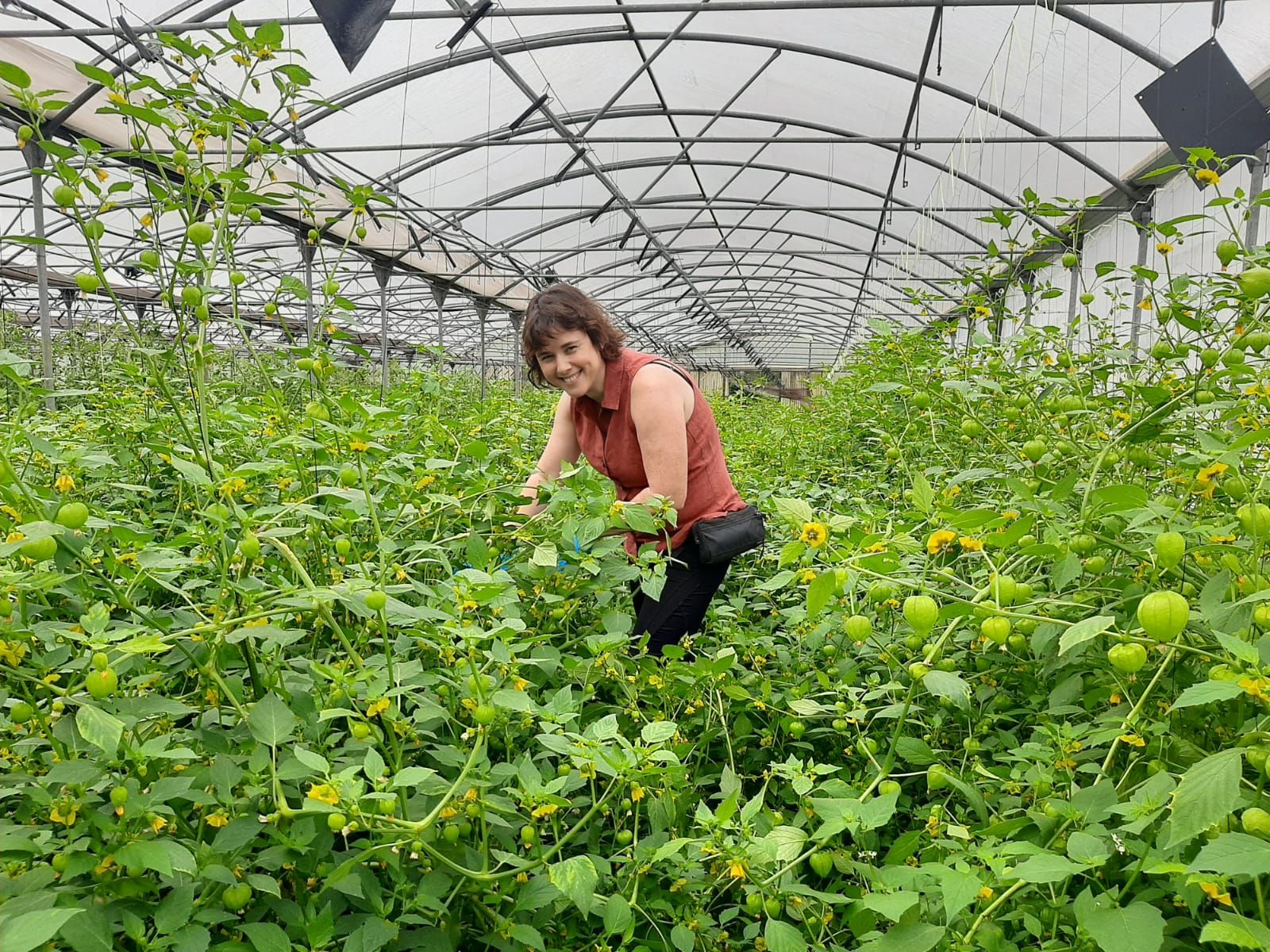 Así es Rural Ecolab, un paraíso de producción ecológica en Llanera