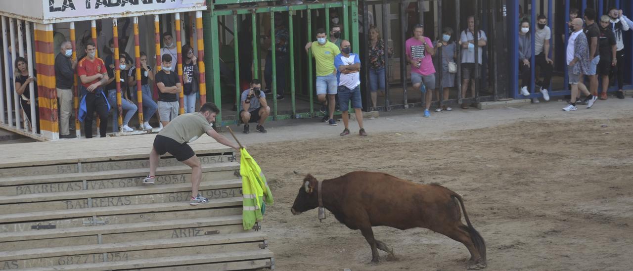 Las vacas de ‘El Gallo’ fueron este jueves las protagonistas en el recinto taurino.