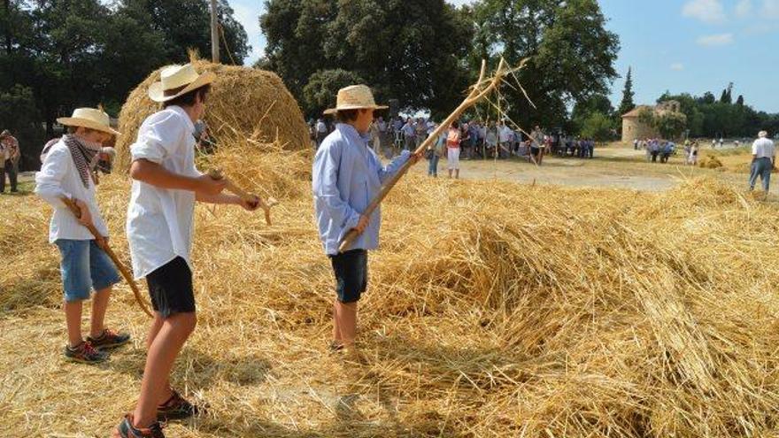 Els pagesos més joves ahir a l&#039;era de Santa Maria, durant el procés de batre la palla