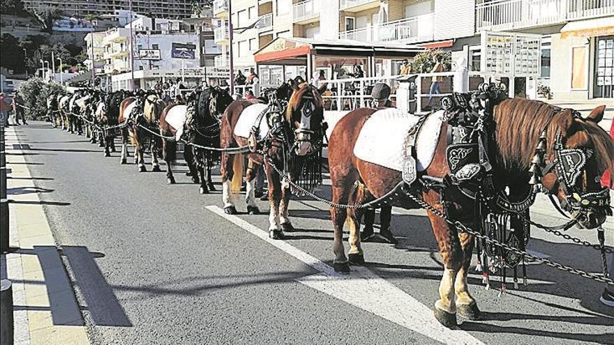 Peñíscola abre los actos con la ‘baixada de l’arbre’