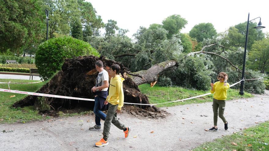 Los efectos de la espectacular tormenta en Gijón, en imágenes