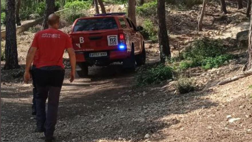 Bombers de Mallorca, en una foto de archivo