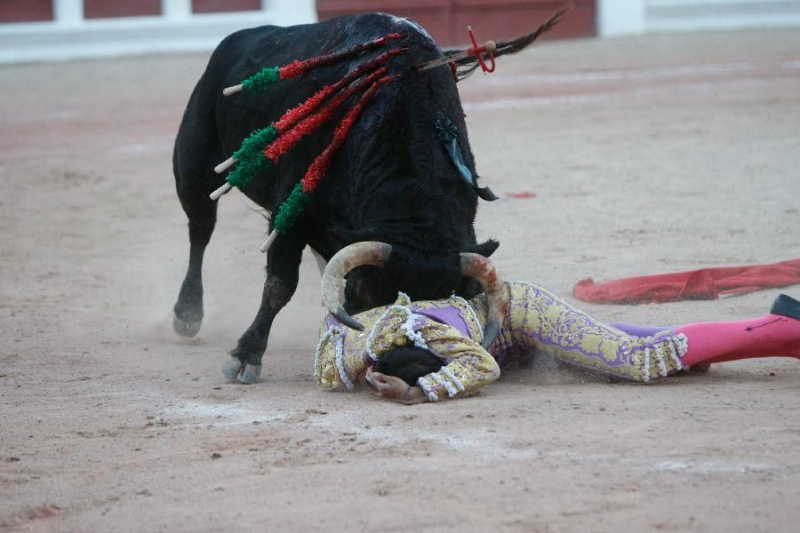 Toros en Zamora