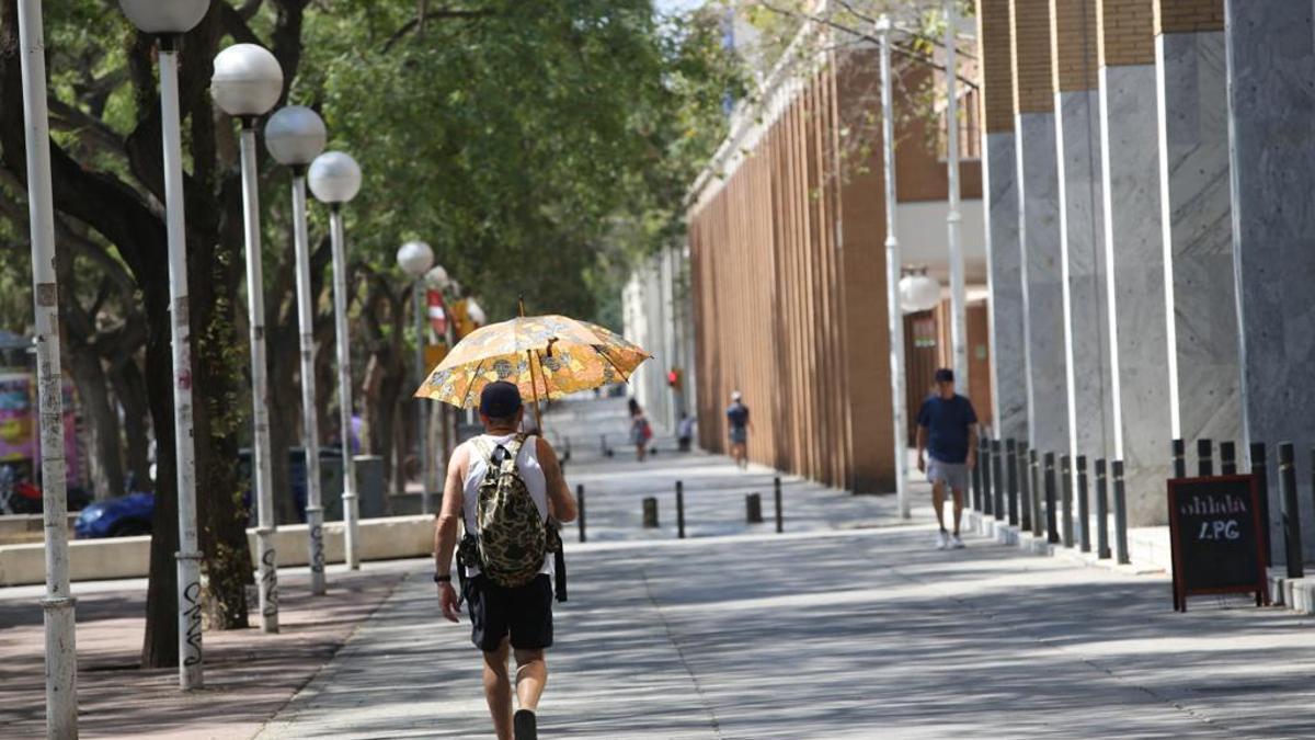 Un hombre se protege del sol con un paraguas, en Barcelona.