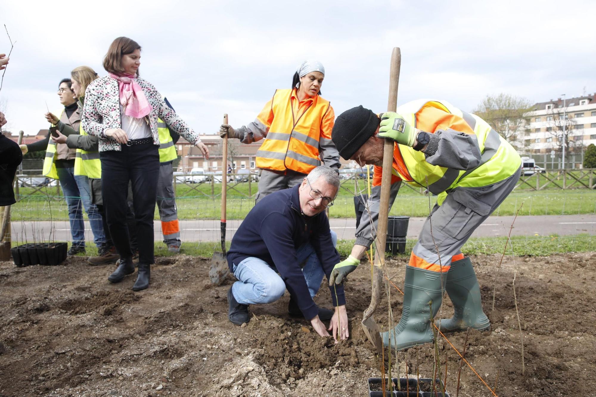 El secretario de Estado Hugo Morán participa en la plantación de minibosques en Gijón (en imágenes)