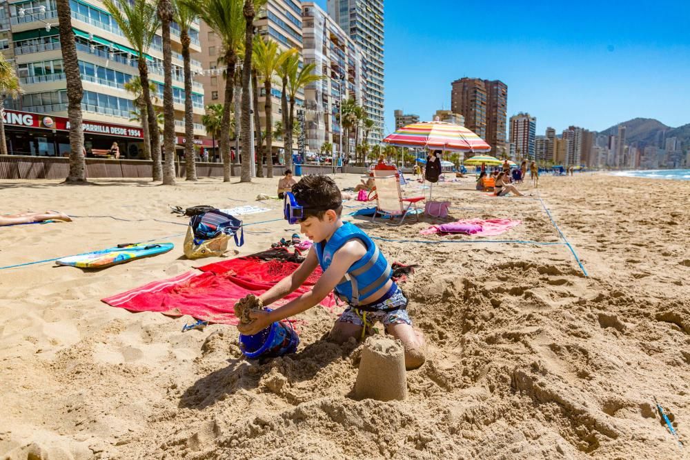 Quejas de usuarios en la apertura de las playas parceladas en Benidorm