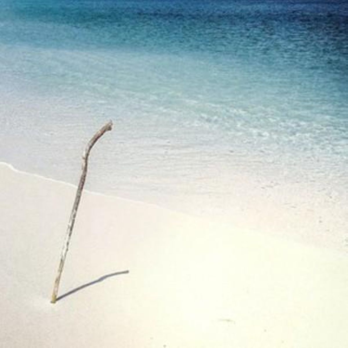 Un pensament, una emoció... tot un paradís.