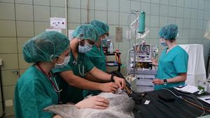 Hospital Clínico Veterinario