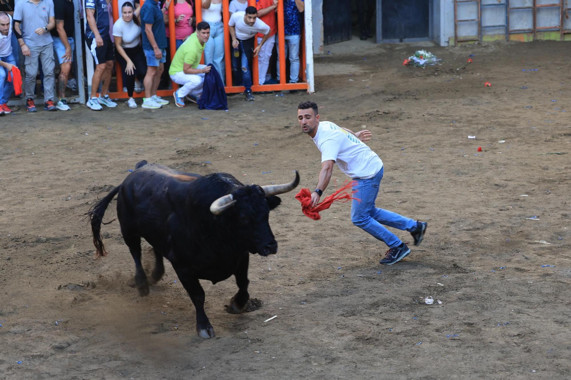 Las imágenes del primer encierro y de las exhibiciones taurinas de las fiestas de Almassora