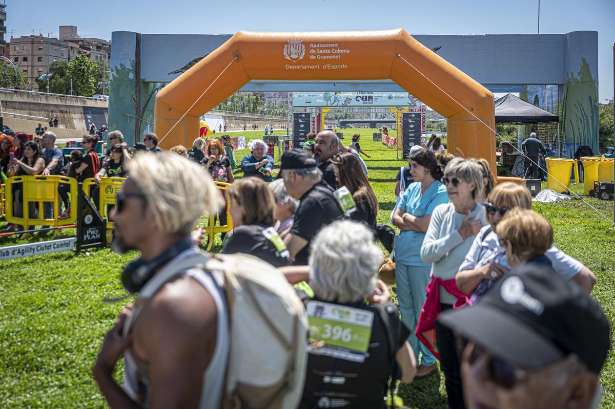 CAN WE RUN BARCELONA. La carrera organizada por Prensa Ibérica y El Periódico de Catalunya con la colaboración de Sport ,  donde las personas y sus mascotas perrunas corren en familia