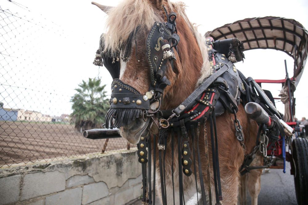 Fiesta de Sant Antoni en la ermita de vera