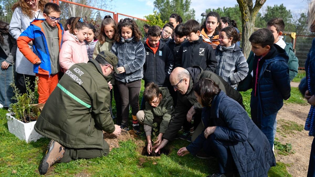 El delegado territorial, Fernando Prada, junto a escolares, realizan plantaciones de árboles en el patio del colegio Riomanzanas con motivo de la celebración del Día del Árbol.