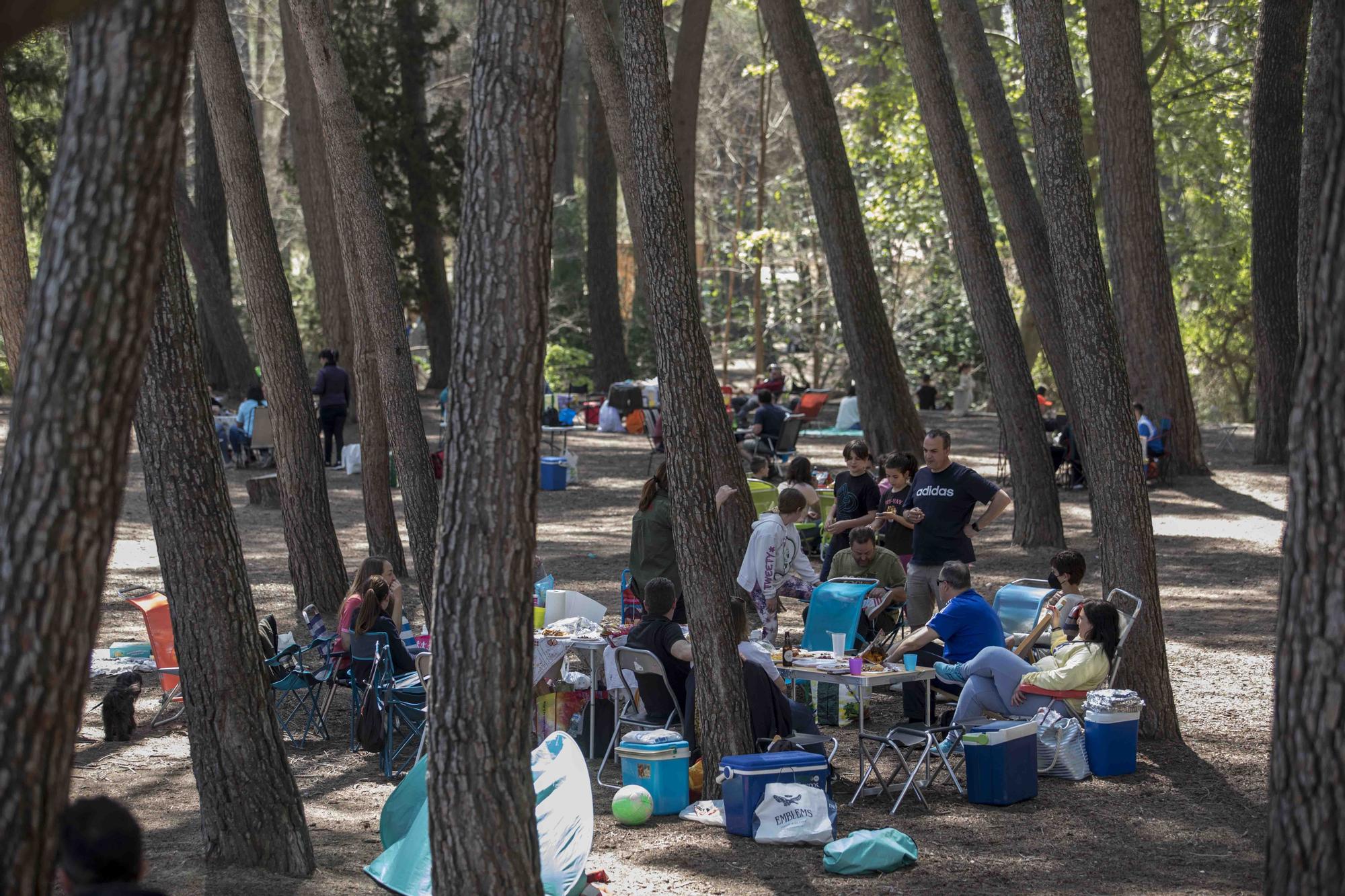 El Parc d San Vicent de Lliria vuelve a llenarse de familias dos años depués