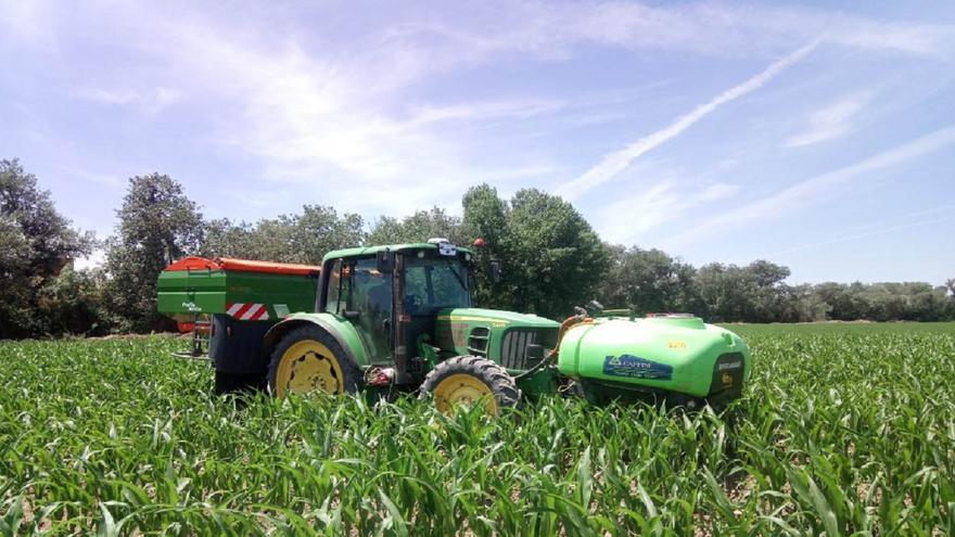 Zamora, campo de ensayo de un proyecto para reducir la contaminación en el cultivo del maíz