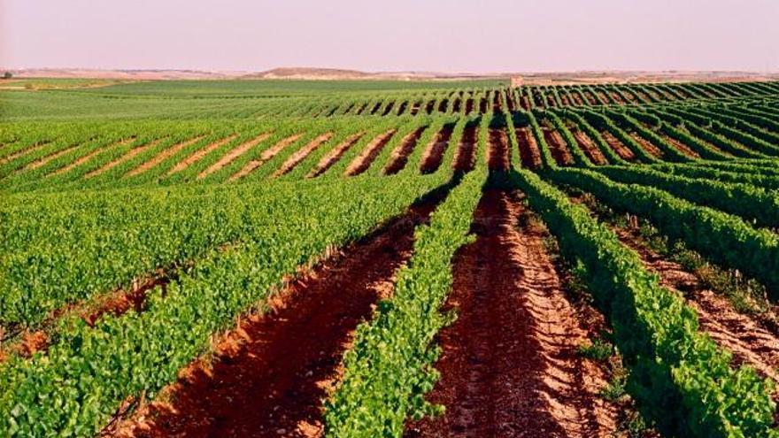 Hermanos Torcal marida la tradición con la innovación