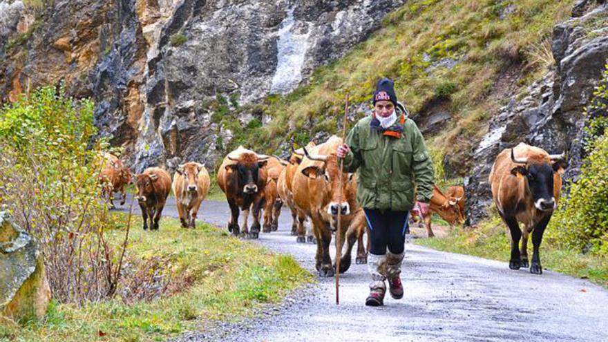 Asturias ye mundial, y así lo constata la UNESCO: un recorrido por todo lo asturiano que es (y puede ser) Patrimonio de la Humanidad