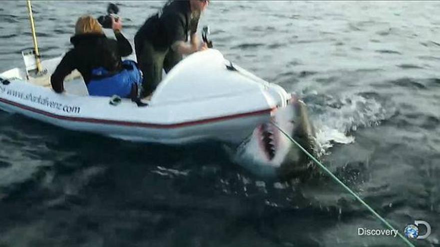 Espectacular ataque de un tiburón blanco a una pequeña lancha