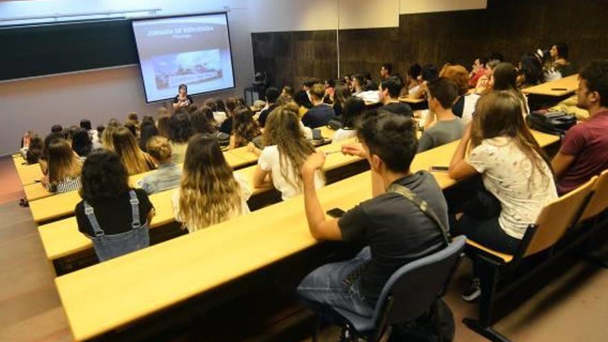 Clase en las instalaciones del campus de Elche de la Universidad Miguel Hernández durante el presente curso académico 2018/19.