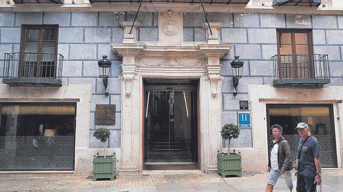 En los terrenos del Palacio de Solesio estaban las casas de los Amate de la Borda.