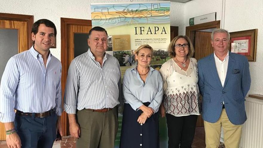 El Ifapa de Cabra analiza en unas jornadas el futuro del sector de la viticultura