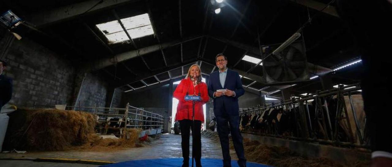 Mercedes Fernández y Mariano Rajoy, en la ganadería de San Martín de Podes que visitaron el jueves.