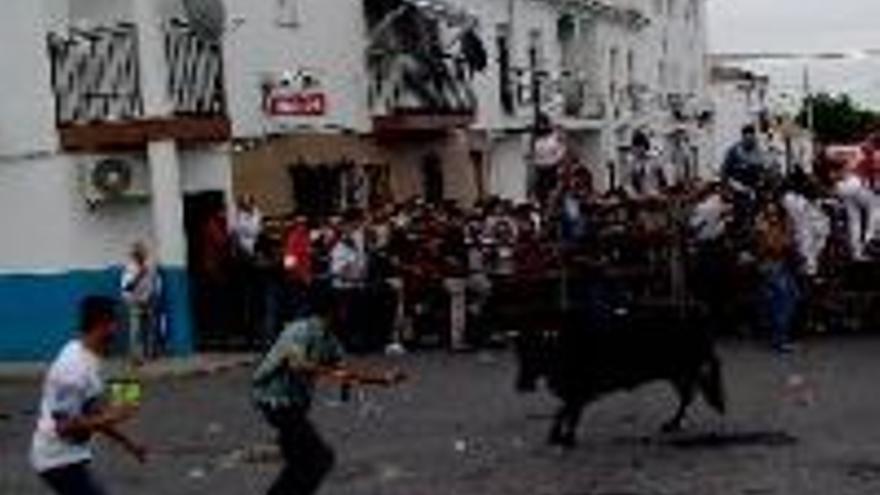 Verbenas y toros por San Isidro Labrador