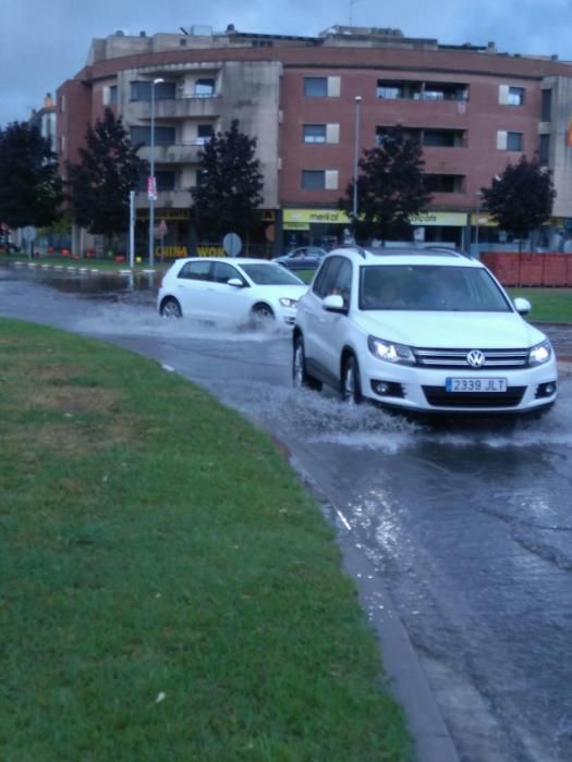 Xàfecs a la Bisbal d'Empordà.