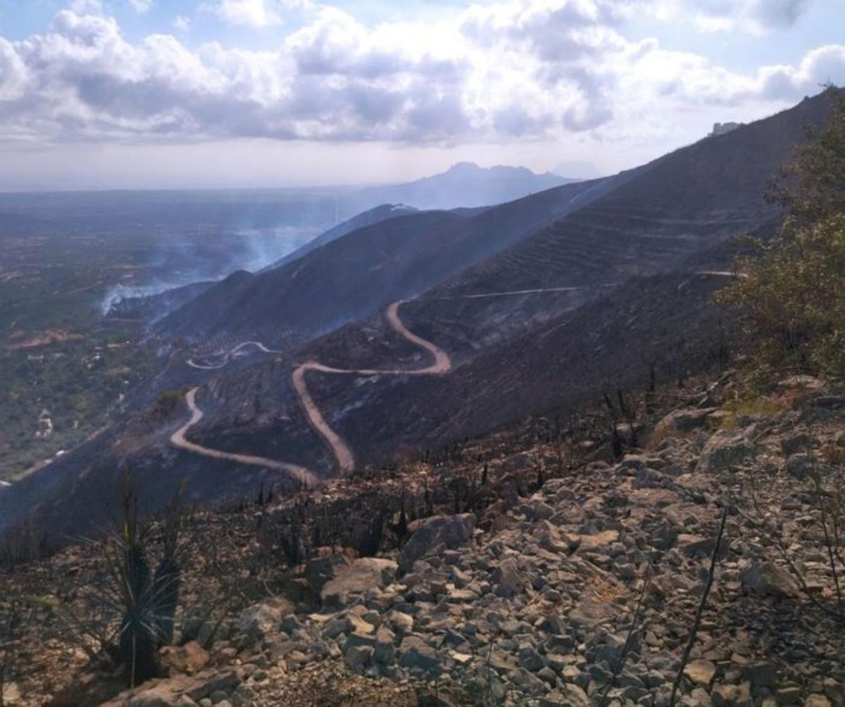 Las montañas de la Vall d’Ebo tras 4 meses: el verde ya borra las cenizas