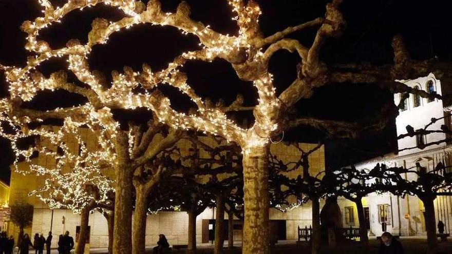 Arriba, las luces instaladas en la plaza de Viriato. Abajo, los operarios montan el árbol de Navidad que decorará la Plaza Mayor durante las próximas semanas.