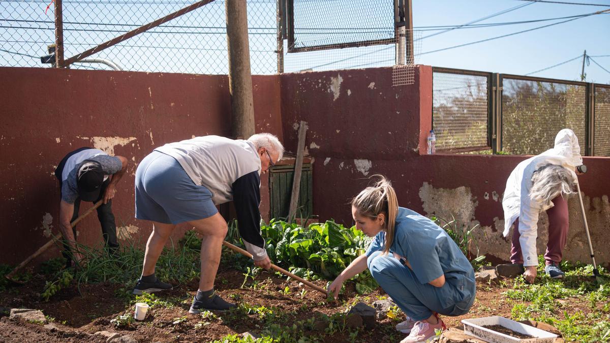 Usuarios y trabajadores de la asociación en el huerto de su sede