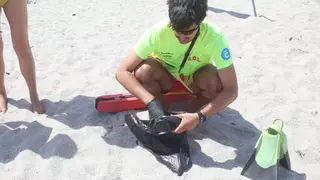Los socorristas retiran carabelas de las playas de Riazor y Orzán