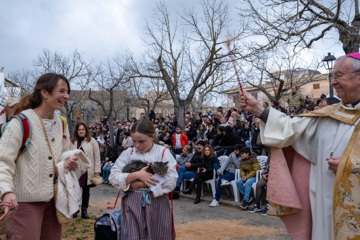 So eindrucksvoll waren die Tiersegnungen zu Sant Antoni 2026 in Muro