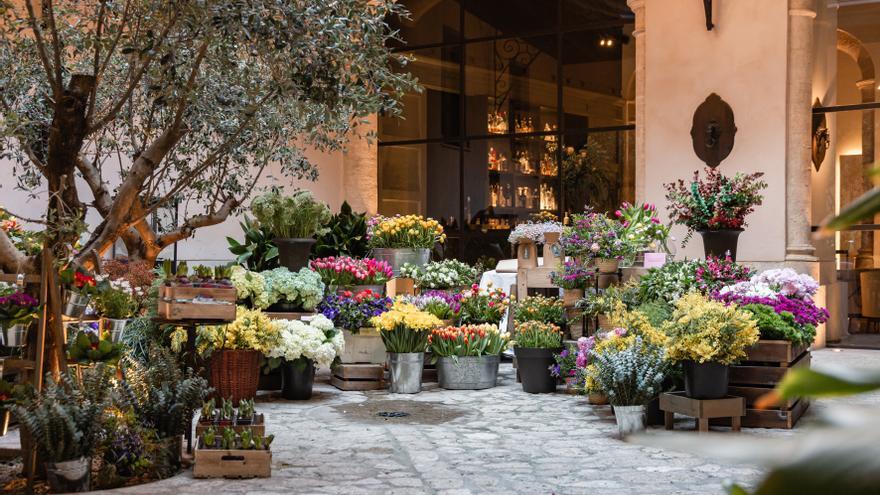 El mercado de las flores vuelve al Sant Francesc Hotel de Palma