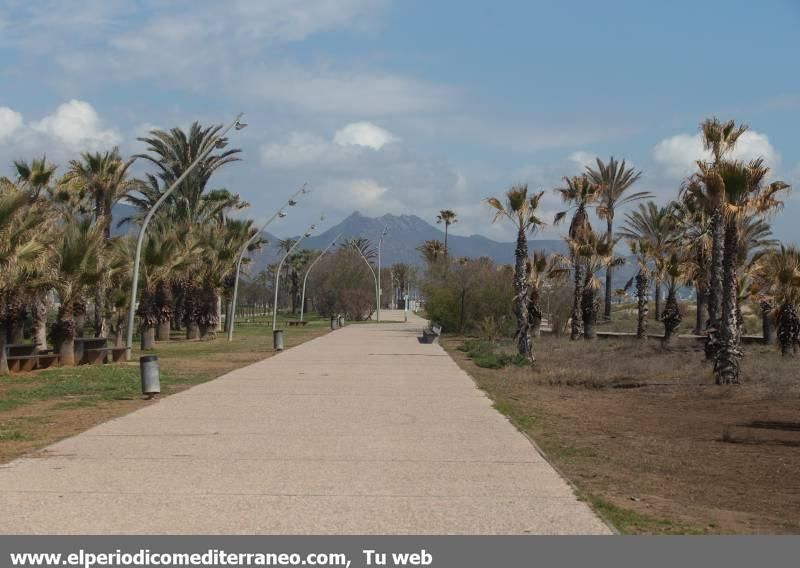 Castelló permanece desierto tras tres semanas encerrados en casa