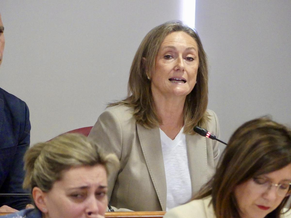 Luisa Sánchez, durante el pleno celebrado este lunes en el Concello de Vigo.
