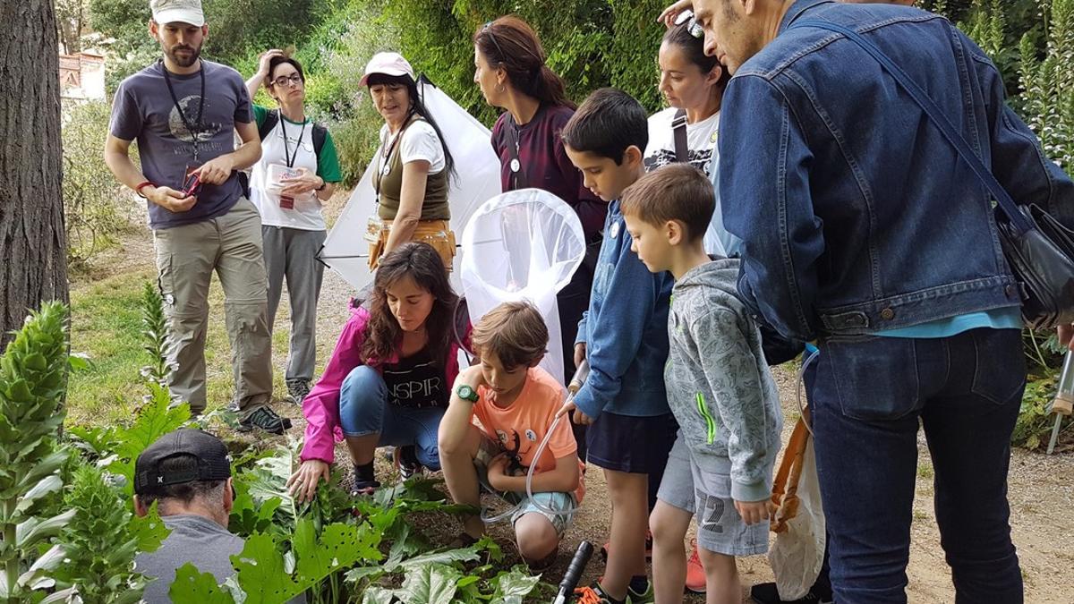 Planta't al Botànic, la jornada de puertas abiertas del Jardí Botànic