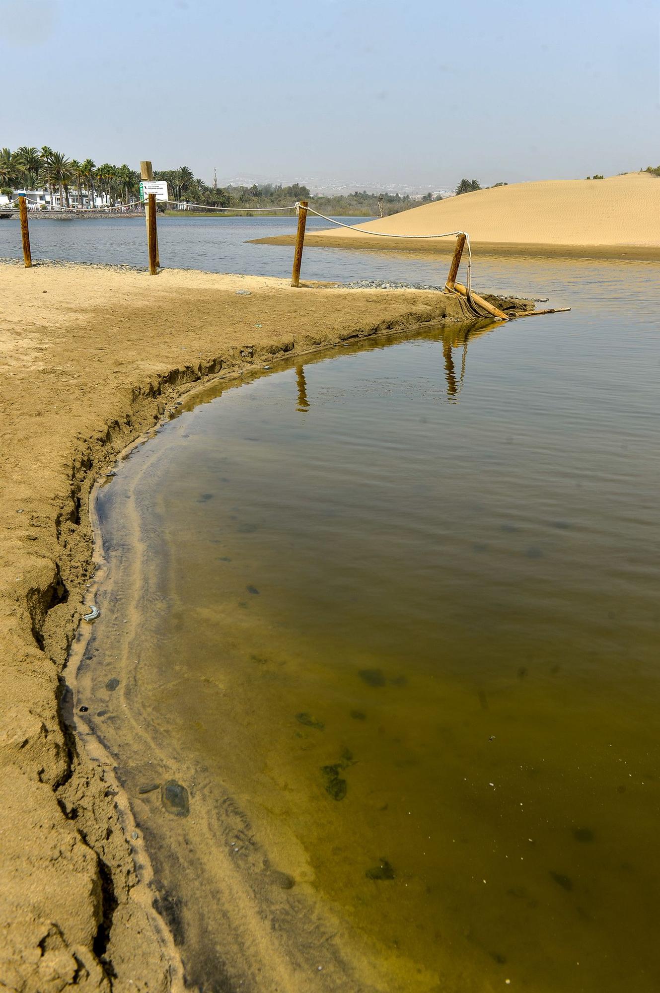 La Charca de Maspalomas después del ciclón Hermine