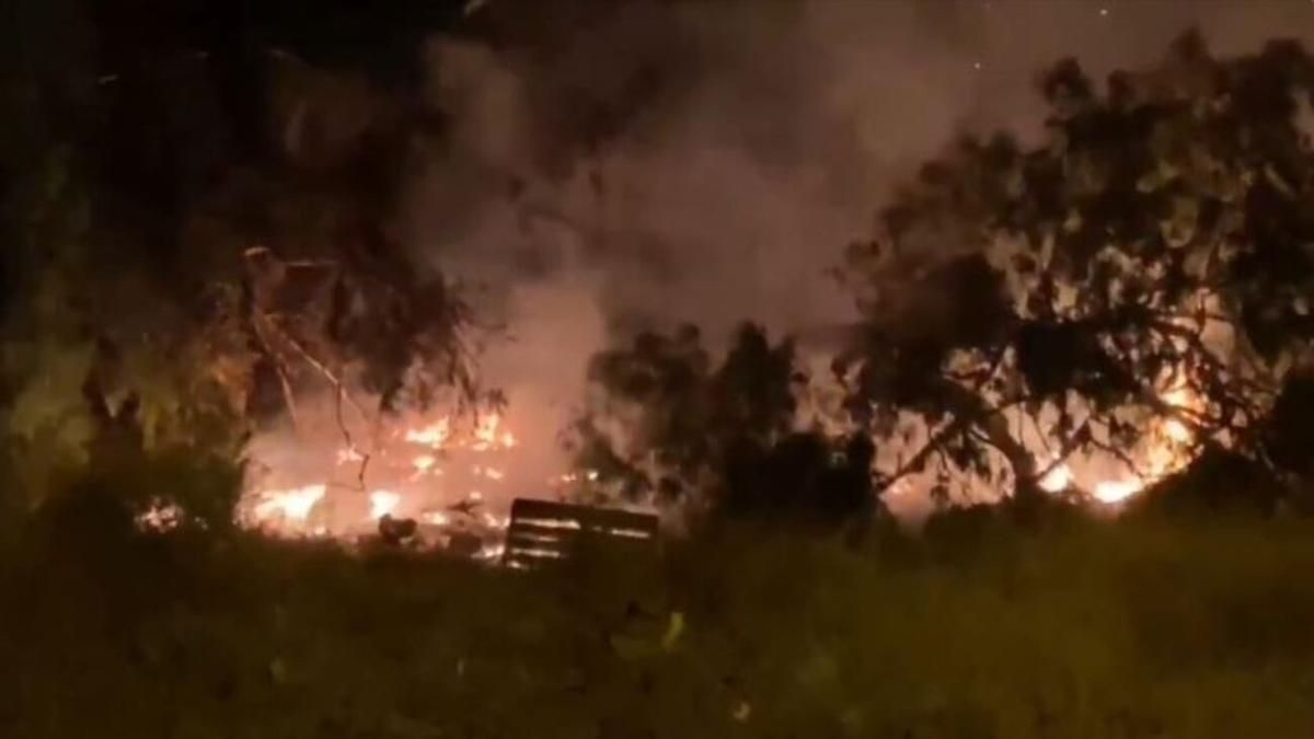 Incendio en una zona ajardinada de Jinámar, en Las Palmas de Gran Canaria