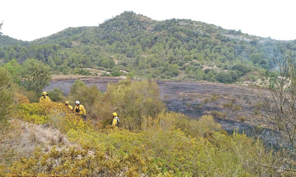 Am Freitag (5.8.) kurz nach 11 Uhr wurde ein Feuer im Gebiet von Sant Agustí im Stadtbezirk von Palma gemeldet. Der Brand war gegen 12.30 Uhr unter Kontrolle, nachdem er eine Fläche von 0,7 Hektar Kiefernwald zerstört hatte.