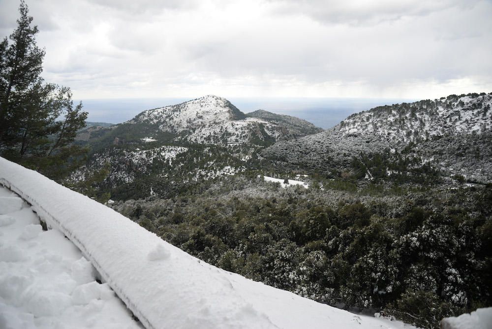 Der frühe Schnee hat am Samstag (2.12.) zahlreiche Insulaner in die Tramuntana gelockt, wo es die seltene Gelegenheit zu Schneeballschlachten oder zum Bau von Schneemännern gab.