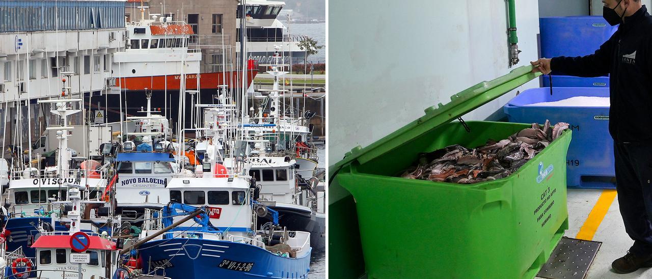 Flota de cerco, amarrada en el puerto de Vigo. Izquierda, pescado a la basura en la lonja de A Coruña.