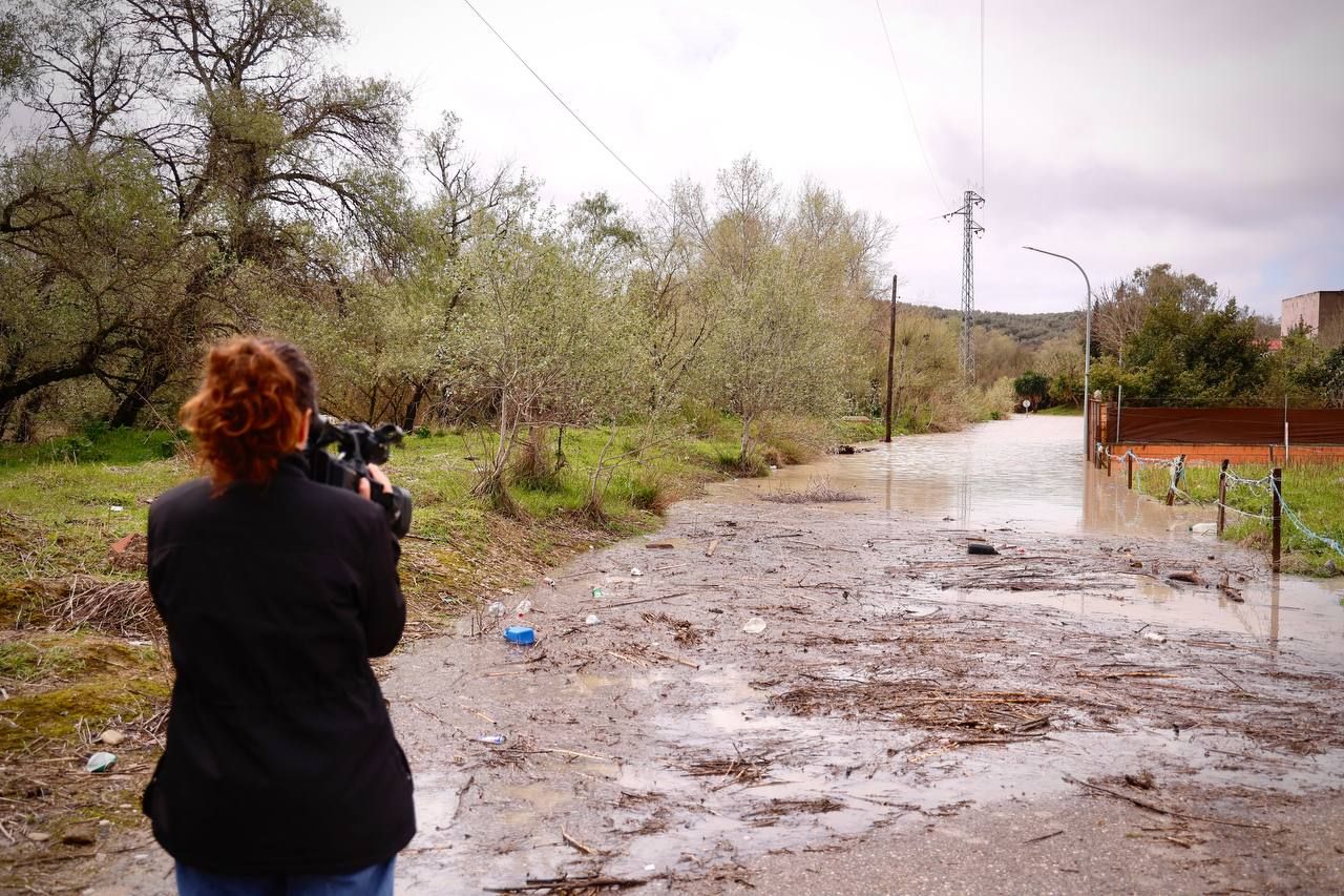 La crecida en Alcolea del Guadalquivir