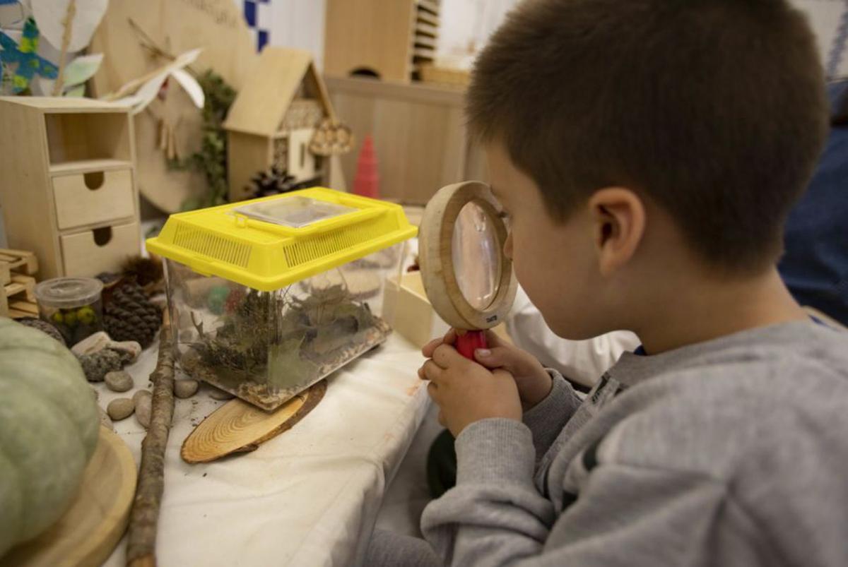 Curiositat, llibertat, creativitat i imaginació: Una escola a mida de l’alumnat