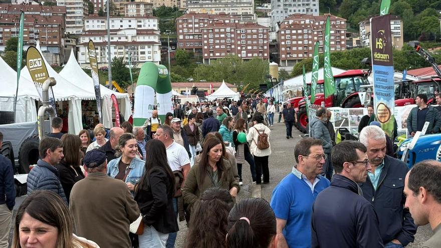 Satisfacción en Tineo por los buenos resultados de la XXXVI Feria de Muestras: "El balance es espectacular"