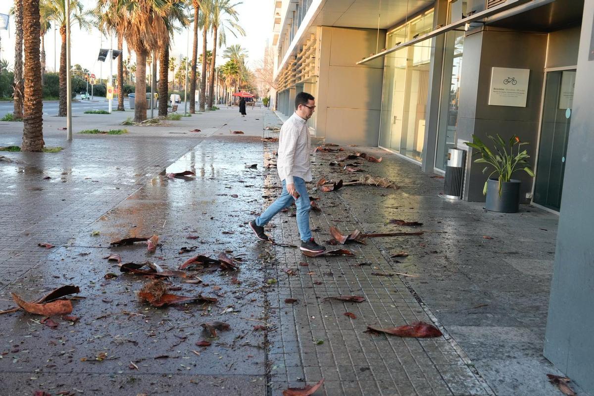 Efectos del vendaval en el paseo de Garcia i Fària de Barcelona.