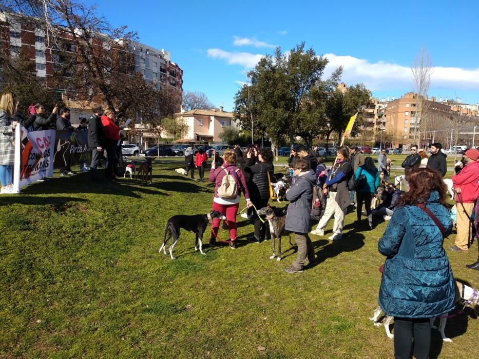 Manifestació contra la caça a Girona