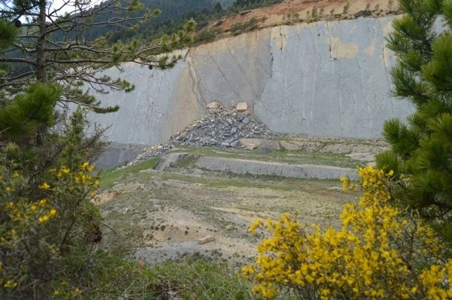 Una esllevissada destrossa les petjades de Fumanya